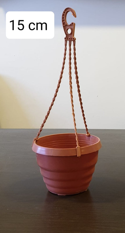 Pot Size 15 cm