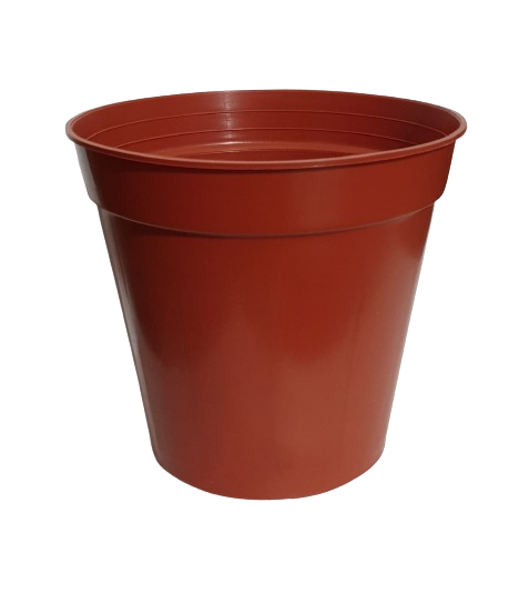 Comic Pot Size 20