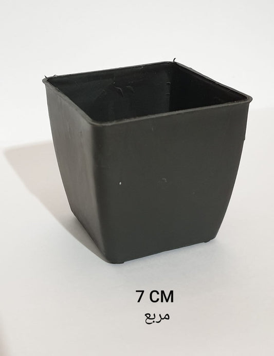 Square Pot Size 7