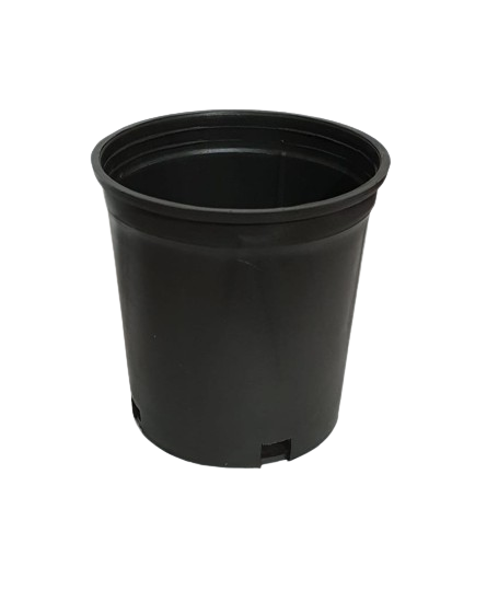 Round Pot size 12 tall