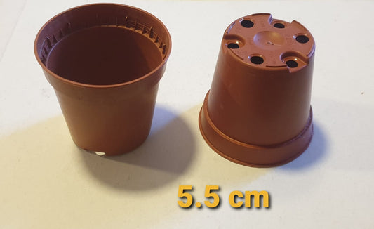 Round Pot Size 5.5 Cm