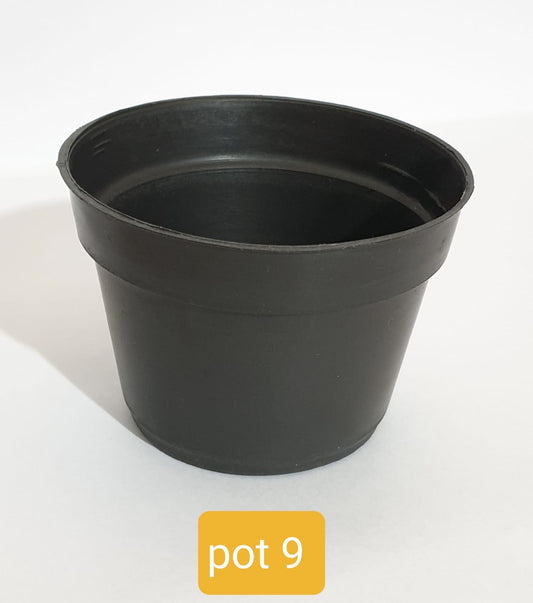Round Pot Size 9